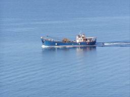 Resize of P1010217.JPG